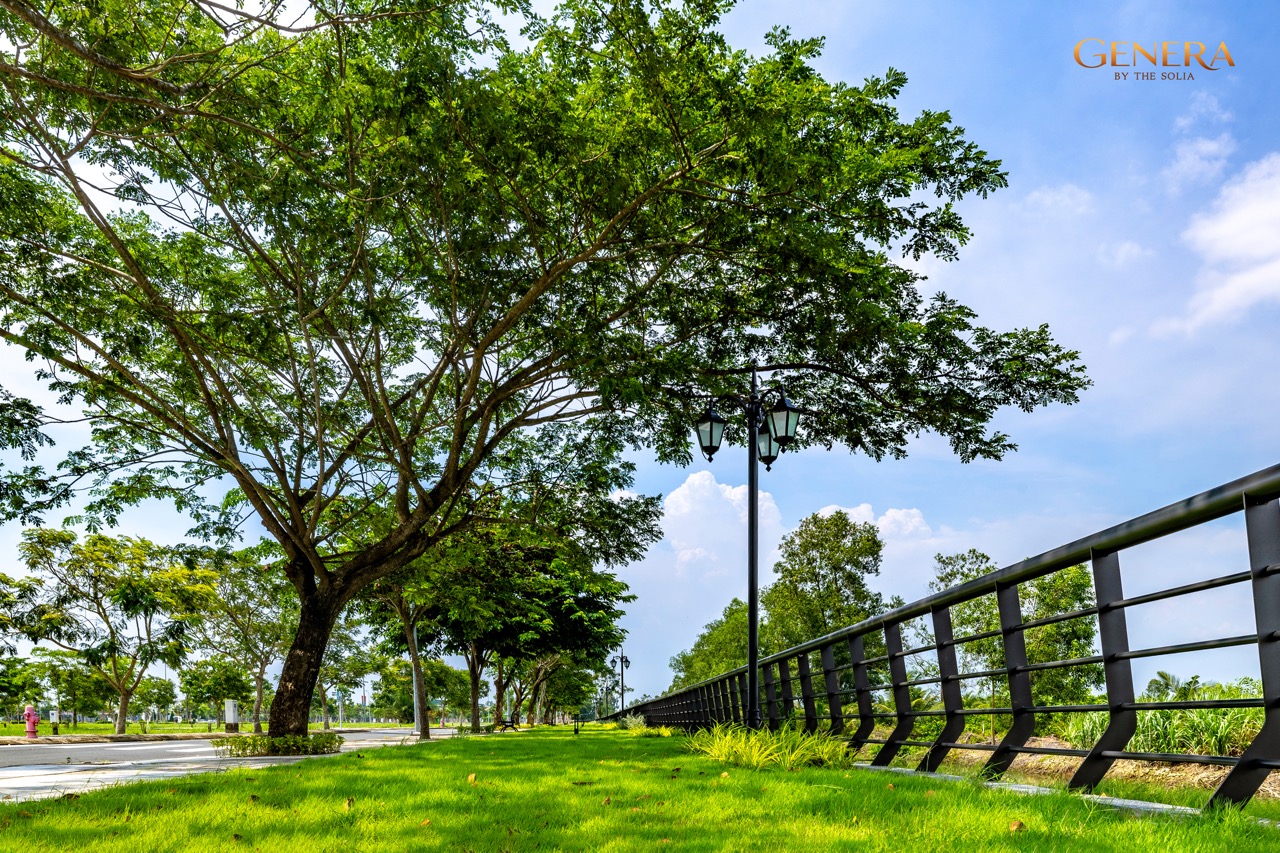 Mảng xanh tại Genera
